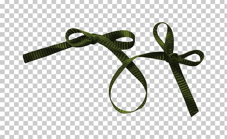 Ribbon PhotoScape Clothing Accessories PNG, Clipart, 2011, Clothing Accessories, Digital Scrapbooking, Editing, Fashion Accessory Free PNG Download