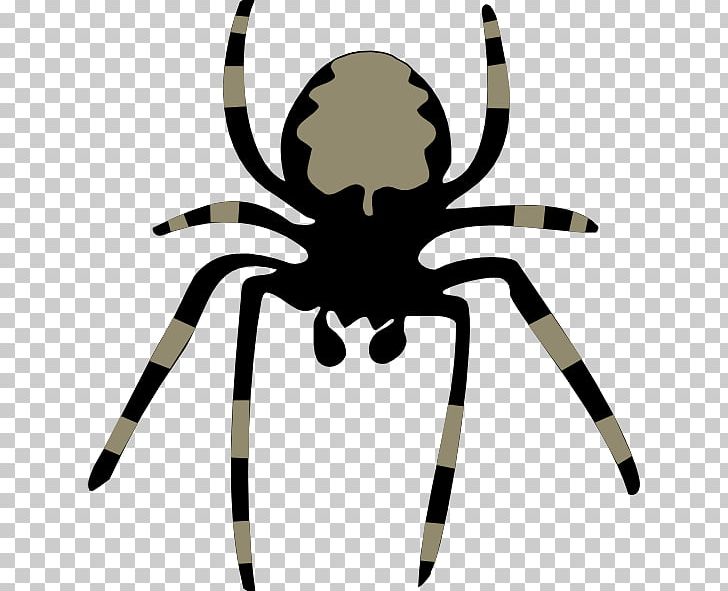 Spider Free Content PNG, Clipart, Animal, Arachnid, Arthropod, Copyright, Download Free PNG Download