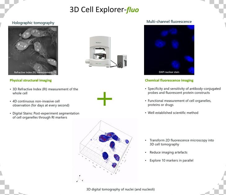 Fluorescence Microscope Cell Nucleus Microscopy PNG, Clipart, Biology, Brand, Cell, Cell Nucleus, Fluorescence Free PNG Download