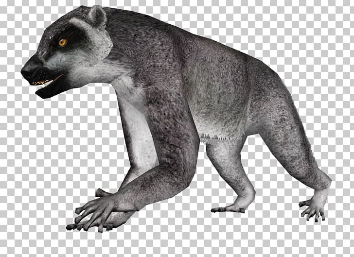 Raccoon Lemur Koala Zoo Tycoon 2 Megaladapis PNG, Clipart, Animal, Animal  Figure, Animals, Arboreal Locomotion, Ayeaye