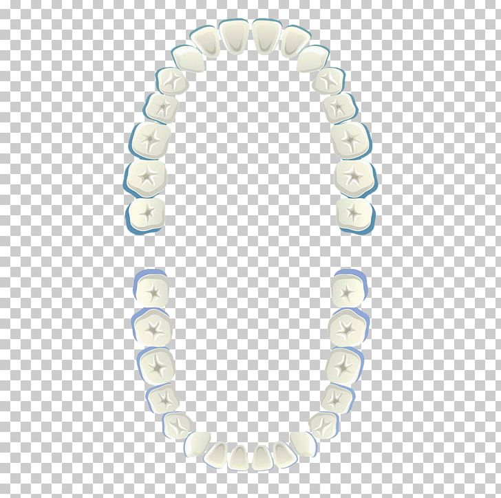 Tooth White Euclidean PNG, Clipart, Body Jewelry, Circle, Download, Euclidean Vector, Gratis Free PNG Download