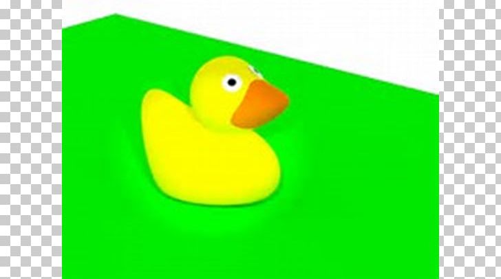 Duck Material PNG, Clipart, Animals, Beak, Bird, Class, Duck Free PNG Download