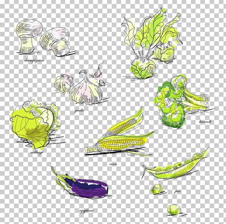 Vegetable Broccoli Pea Illustration PNG, Clipart, Broccoli, Cabbage, Cartoon, Cartoon Vegetables, Cauliflower Free PNG Download