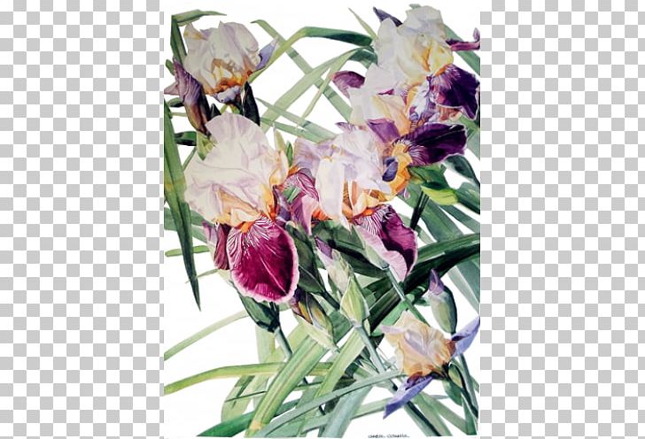 Watercolor Painting Floral Design Watercolor: Flowers Art PNG, Clipart, Art, Artist, Art Museum, Botanical Illustration, Cut Flowers Free PNG Download