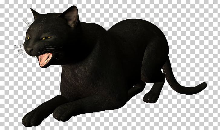 Black Cat Panther Whiskers PNG, Clipart, Animaatio, Animal, Animals, Author, Avatar Free PNG Download