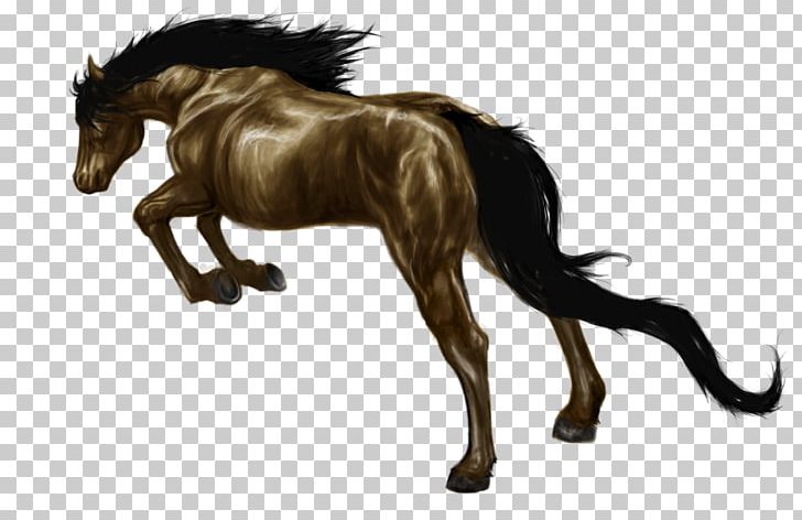 Mane Foal Mustang Stallion Pony PNG, Clipart, Animal, Animal Figure, Colt, Death, Fictional Character Free PNG Download