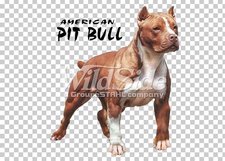 American Pit Bull Terrier T-shirt American Bully PNG, Clipart, American, American Bully, American Pit Bull Terrier, American Staffordshire Terrier, Bull Free PNG Download