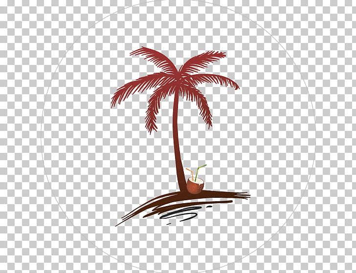 Arecaceae Coconut Drawing Tree PNG, Clipart, Arecaceae, Arecales, Coconut, Drawing, Flowering Plant Free PNG Download