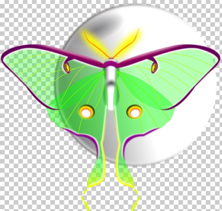 Butterfly Luna Moth Insect PNG, Clipart, Animal, Arthropod, Attacus Atlas, Brush Footed Butterfly, Butterflies And Moths Free PNG Download