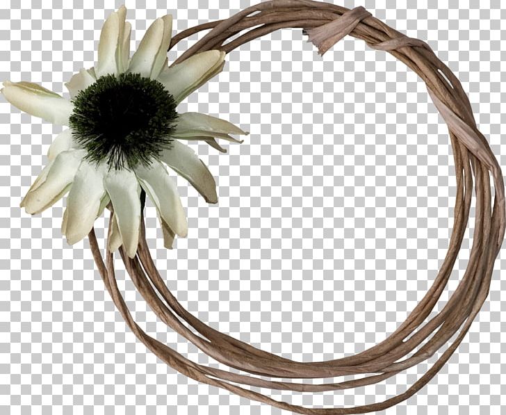 Flower PNG, Clipart, Flower, Idea, Nature Free PNG Download