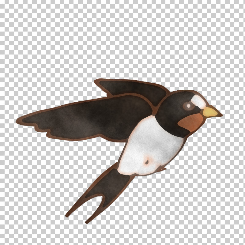 Duck Birds Penguins Beak Goose PNG, Clipart, Beak, Birds, Bluefooted Booby, Duck, Ducks Free PNG Download