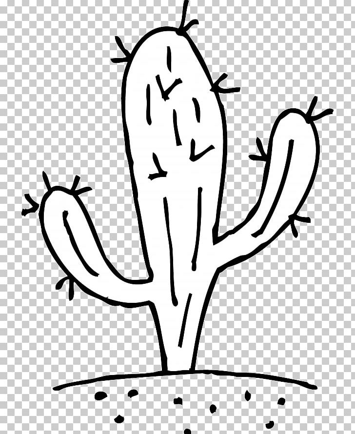Featured image of post Cactus Line Drawing Png You can download cactus line posters and flyers templates cactus line backgrounds banners illustrations and graphics image in psd and vectors for free
