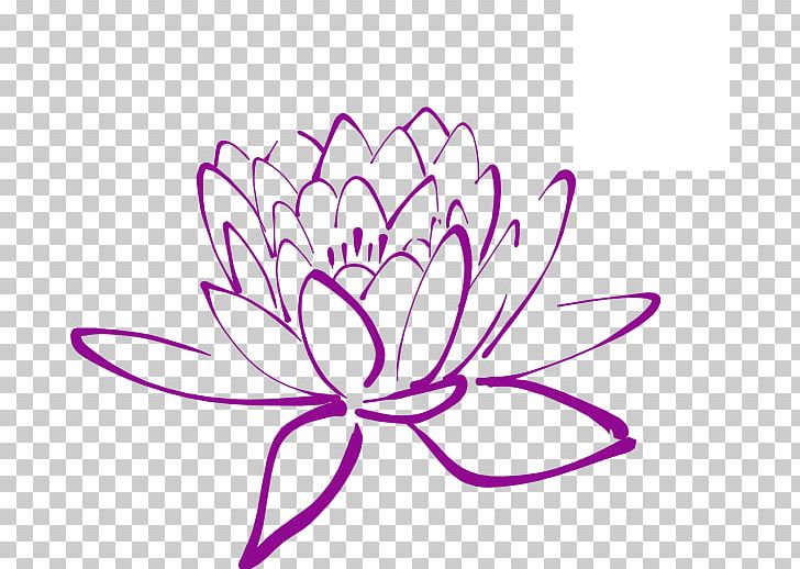 Egyptian Lotus Nelumbo Nucifera PNG, Clipart, Area, Artwork, Blue, Cut Flowers, Drawing Free PNG Download