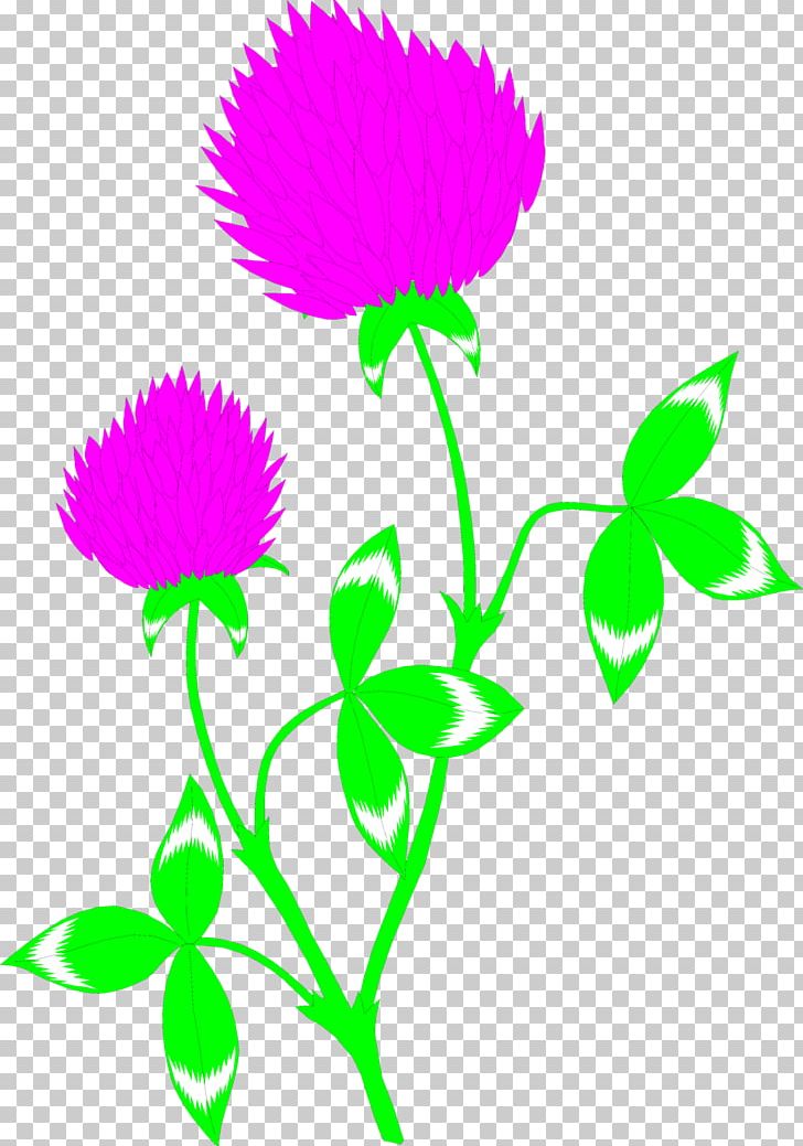 Red Clover Flower PNG, Clipart, Artwork, Ausmalbild, Clover, Coloring Book, Cut Flowers Free PNG Download