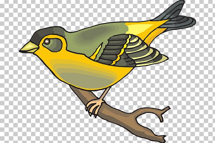 Finches Zebra Finch Society Finch PNG, Clipart, American Goldfinch, Artwork, Beak, Bird, Computer Icons Free PNG Download