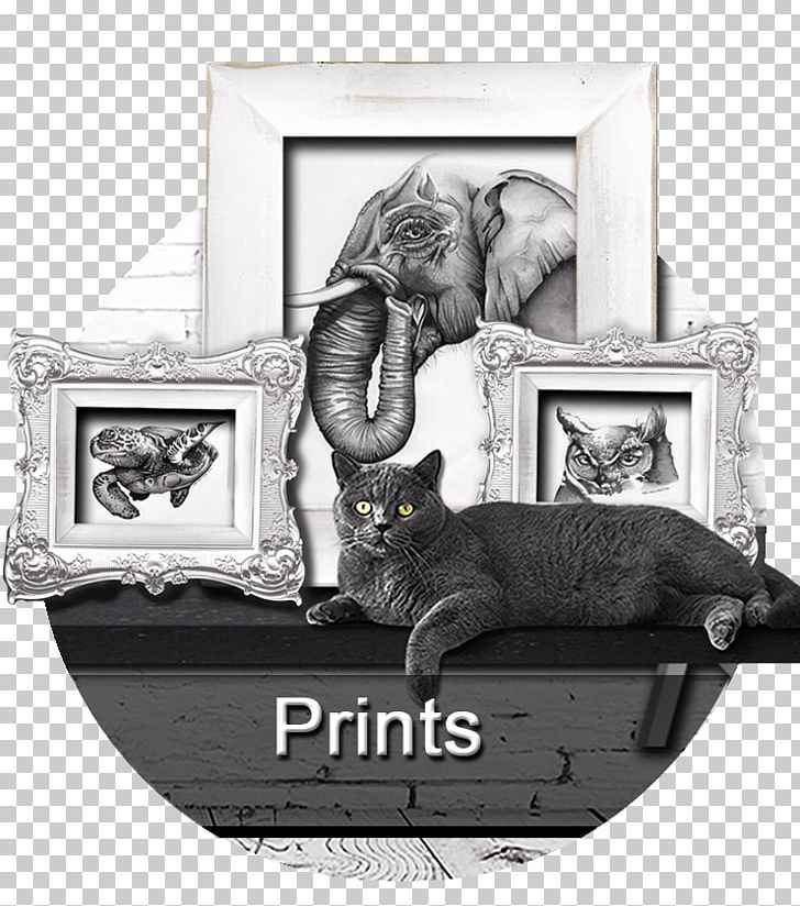 Graphic Designer Artist Work Of Art Printing PNG, Clipart, Art, Artist, Black And White, Cat, Cat Like Mammal Free PNG Download