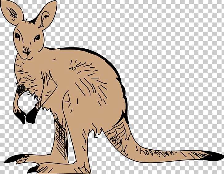 Kangaroo Scalable Graphics PNG, Clipart, Animal, Animals, Brown, Brown Background, Brown Dog Free PNG Download