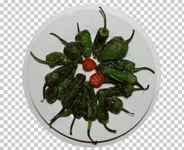 Bird's Eye Chili Pasilla Chili Pepper Peperoncino Recipe PNG, Clipart,  Free PNG Download