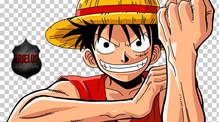 Monkey D. Luffy Portgas D. Ace Monkey D. Garp Shanks One Piece PNG, Clipart, Anime, Boy, Cartoon, Computer Icons, Facial Expression Free PNG Download