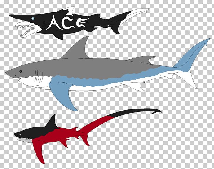 Requiem Sharks Great White Shark Megalodon Goblin Shark PNG, Clipart, Animal, Animals, Bigeye Thresher, Bull Shark, Cartilaginous Fish Free PNG Download