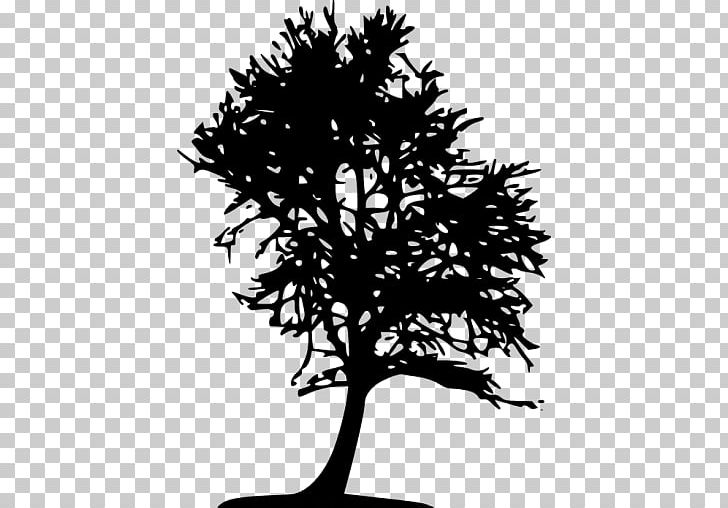 Silhouette Computer Icons Tree Twig PNG, Clipart, Animals, Black And White, Branch, Computer Icons, Conifer Free PNG Download
