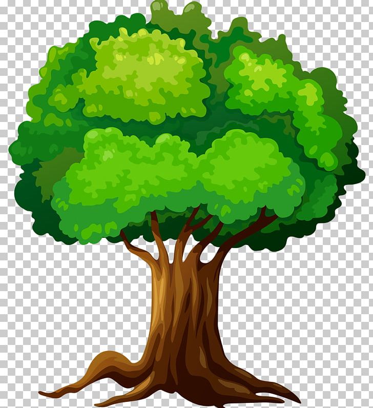 Tree PNG, Clipart, Computer Icons, Desktop Wallpaper, Download, Drawing, Grass Free PNG Download