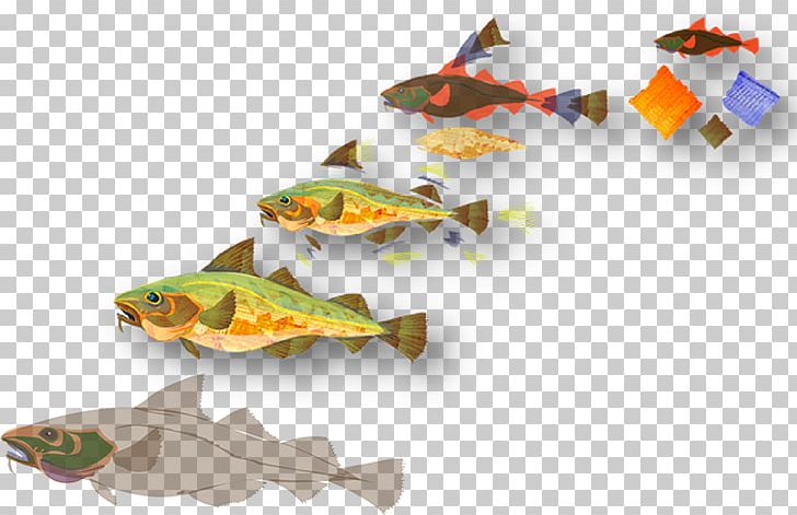 COD: A Biography Of The Fish That Changed The World Illustration Product Design Sea PNG, Clipart, Argument, Complexity, Ecosystem, Fish, In The End Free PNG Download