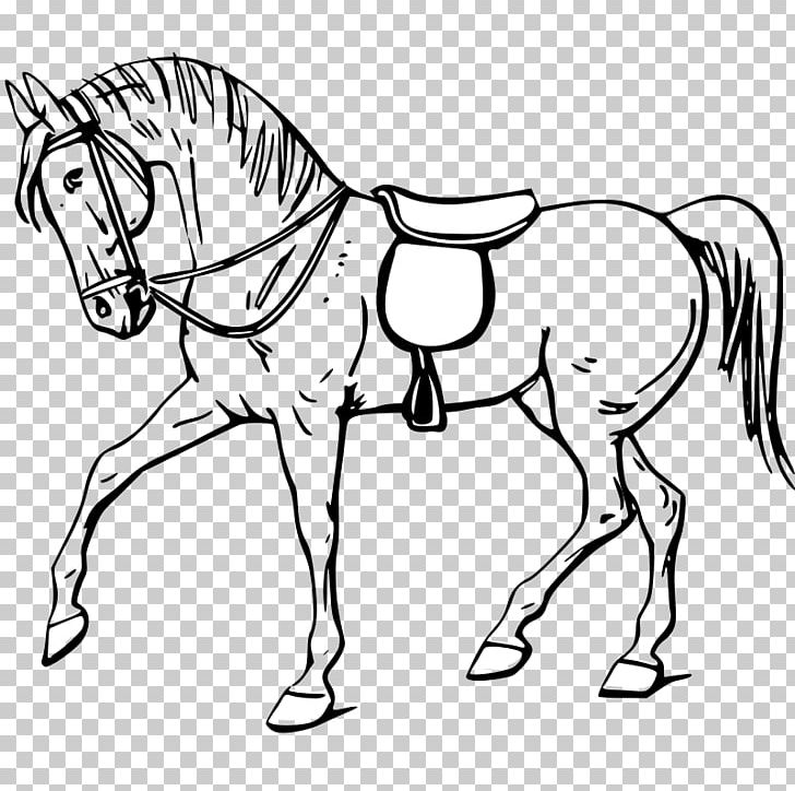 Tennessee Walking Horse Drawing Show Jumping PNG, Clipart, Bit, Black And White, Bridle, Colt, Drawin Free PNG Download