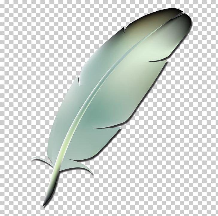 Feather PNG, Clipart, Animals, Feather, Leaf, Pilgrimage Free PNG Download