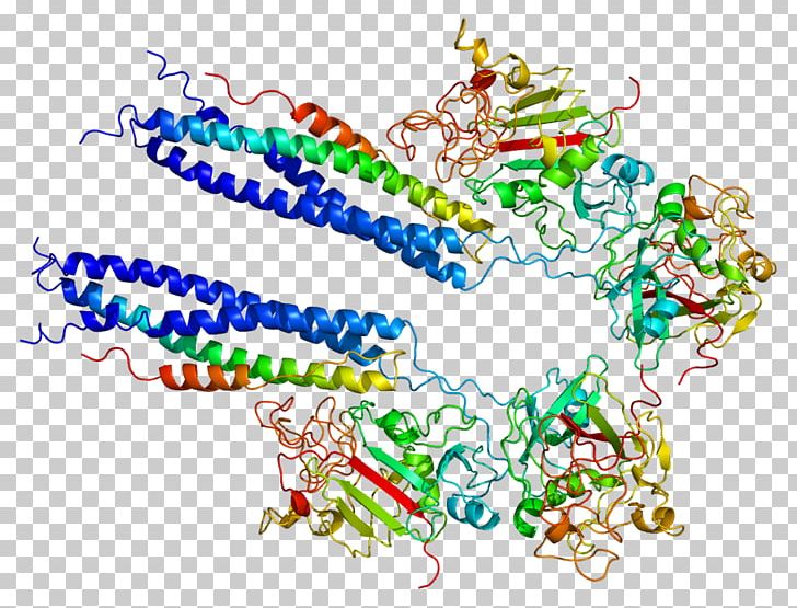 Fibrinogen Alpha Chain Protein Thrombopoietin PNG, Clipart, Acutephase Protein, Antithrombin, Area, Art, Blood Free PNG Download