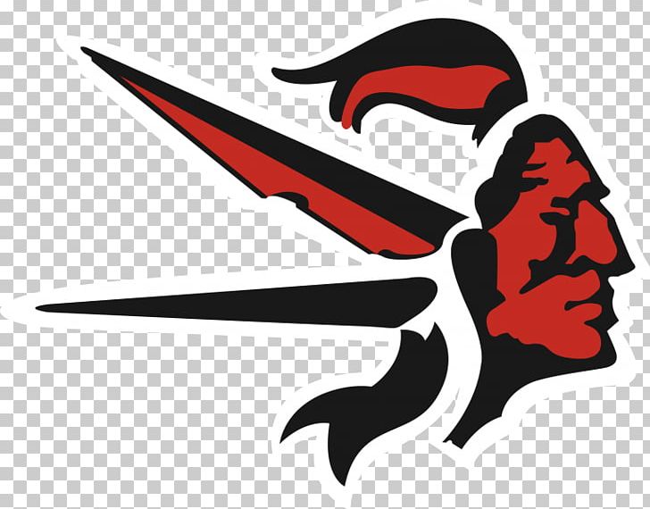 Winchester High School Sachem Lacrosse Sport National Secondary School PNG, Clipart, American Football, Bag, Beak, Board, Cornhole Free PNG Download