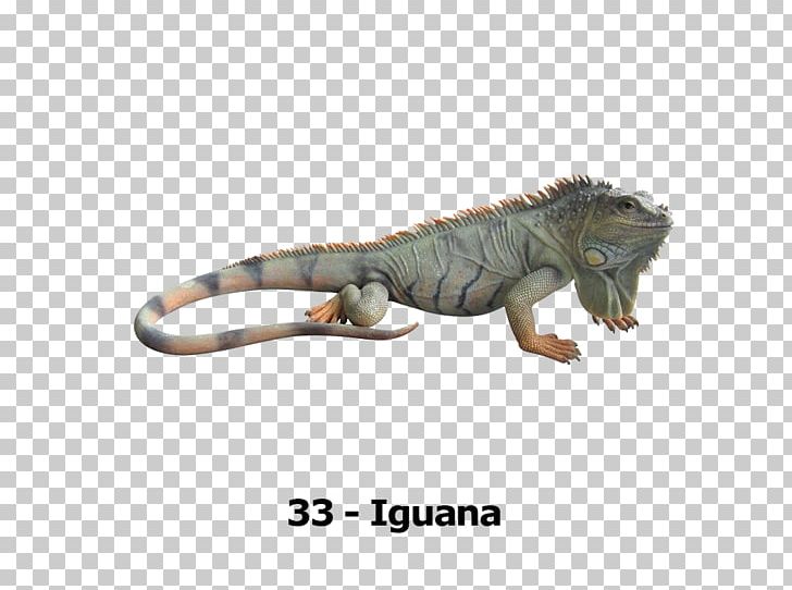 Green Iguana Reptile Lizard Blue Iguana PNG, Clipart, Animal Figure, Animals, Blue Iguana, Common Iguanas, Fauna Free PNG Download