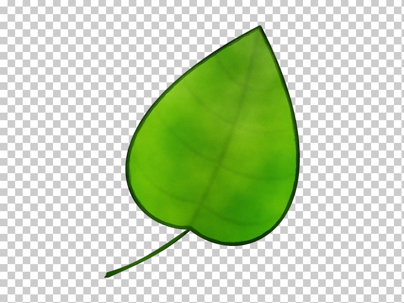 Leaf Green Plant Structure Biology Science PNG, Clipart, Biology, Green, Leaf, Paint, Plant Free PNG Download