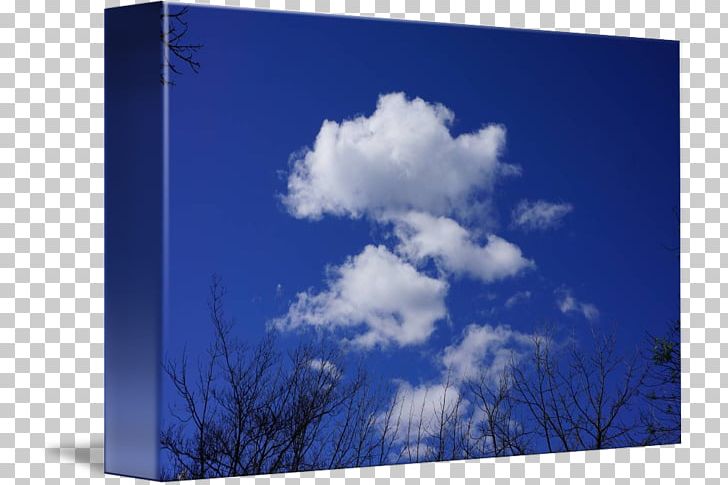 Desktop Energy Computer Tree PNG, Clipart, Blue, Blue Sky And White Clouds, Cloud, Computer, Computer Wallpaper Free PNG Download