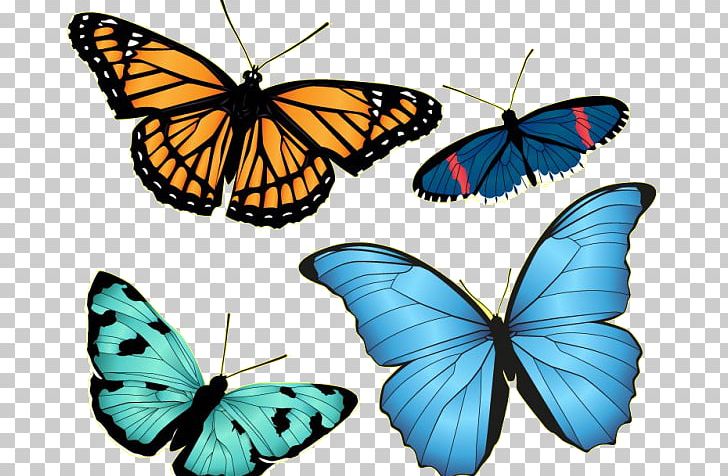 Drawing PNG, Clipart, Arthropod, Brush Footed Butterfly, Butterfly, Computer Icons, Image File Formats Free PNG Download