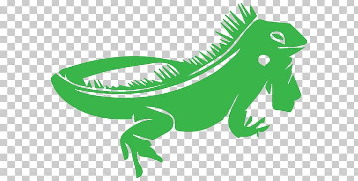 Lizard Chameleons Reptile Green Iguana PNG, Clipart, Amphibian, Bearded Dragons, Cage, Chameleons, Common Iguanas Free PNG Download