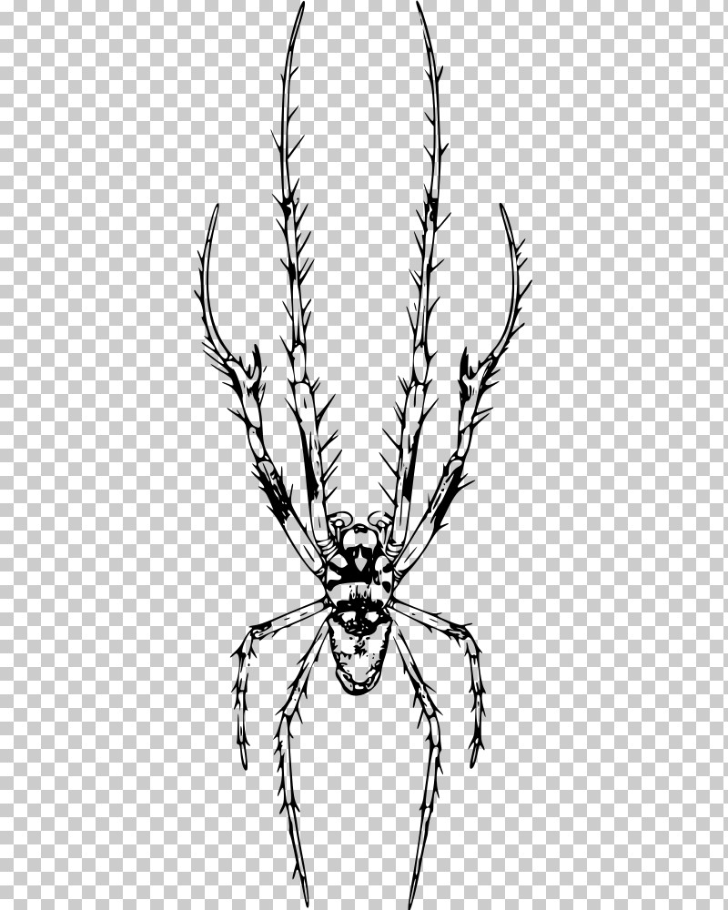 Head Line Art Line Branch Insect PNG, Clipart, Blackandwhite, Branch, Coloring Book, Head, Insect Free PNG Download