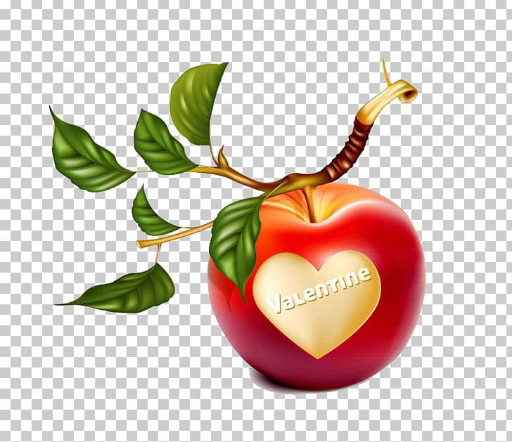 Leaf Apple PNG, Clipart, Apple, Art, Computer Wallpaper, Diet Food, Drawing Free PNG Download