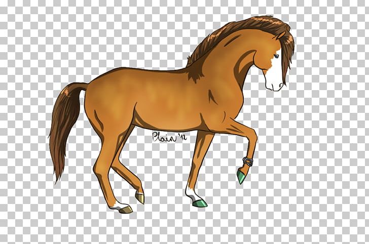 Mustang Foal Stallion Colt Mare PNG, Clipart, Animal Figure, Bridle, Cartoon, Colt, Foal Free PNG Download