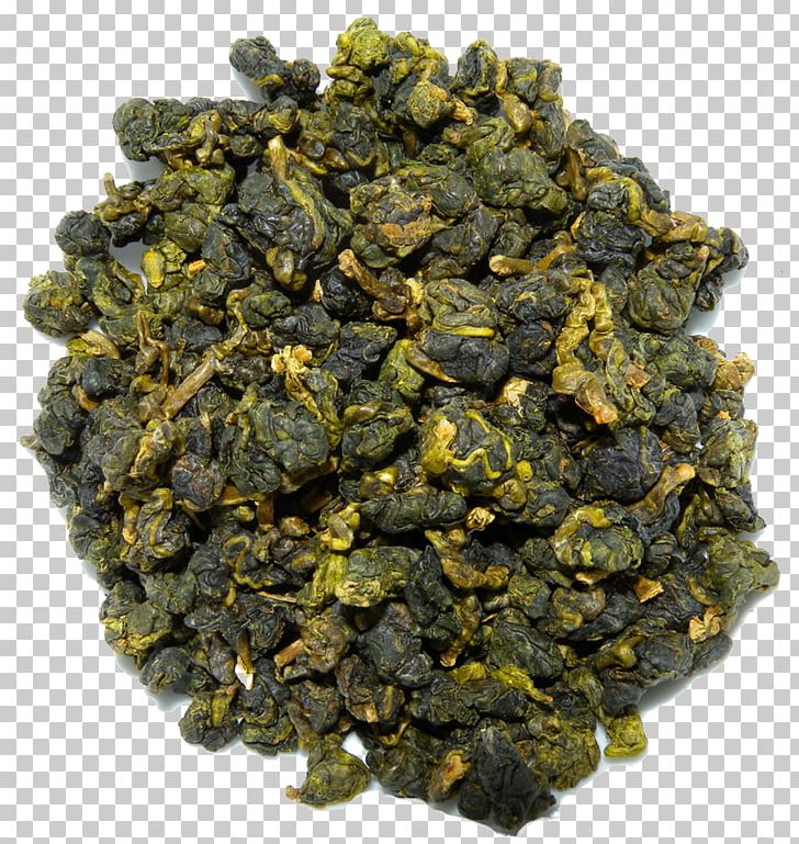 Oolong Herbal Tea Tea Plant GABA Tea PNG, Clipart, Aftertaste, Aroma, Cymbopogon Citratus, Fennel, Food Drinks Free PNG Download
