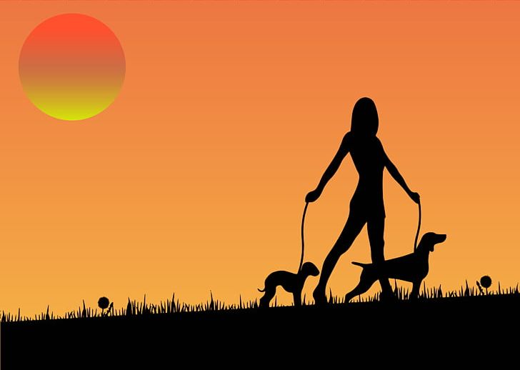 Dog Walking Pet Sitting Woman PNG, Clipart, Companion Dog, Computer Wallpaper, Dog, Dog Sunset Cliparts, Dog Walking Free PNG Download
