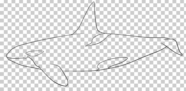 Line Art Marine Mammal Drawing PNG, Clipart, Angle, Art, Artwork, Black And White, Cartoon Free PNG Download