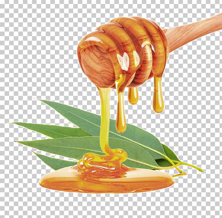 Mānuka Honey Stock Photography Honey Bee Food PNG, Clipart, Food, Food Drinks, Honey, Honey Bee, Manuka Honey Free PNG Download
