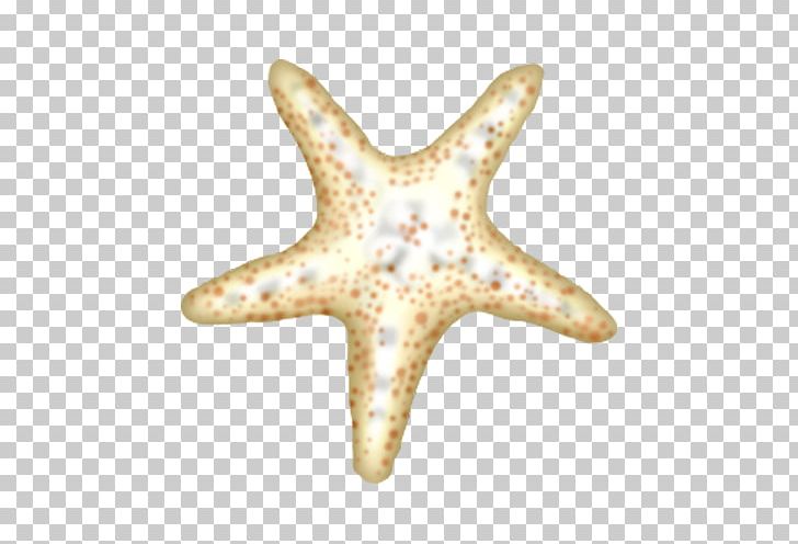 Starfish Cartoon PNG, Clipart, Adobe Illustrator, Animals, Balloon Cartoon, Boy Cartoon, Cartoon Free PNG Download