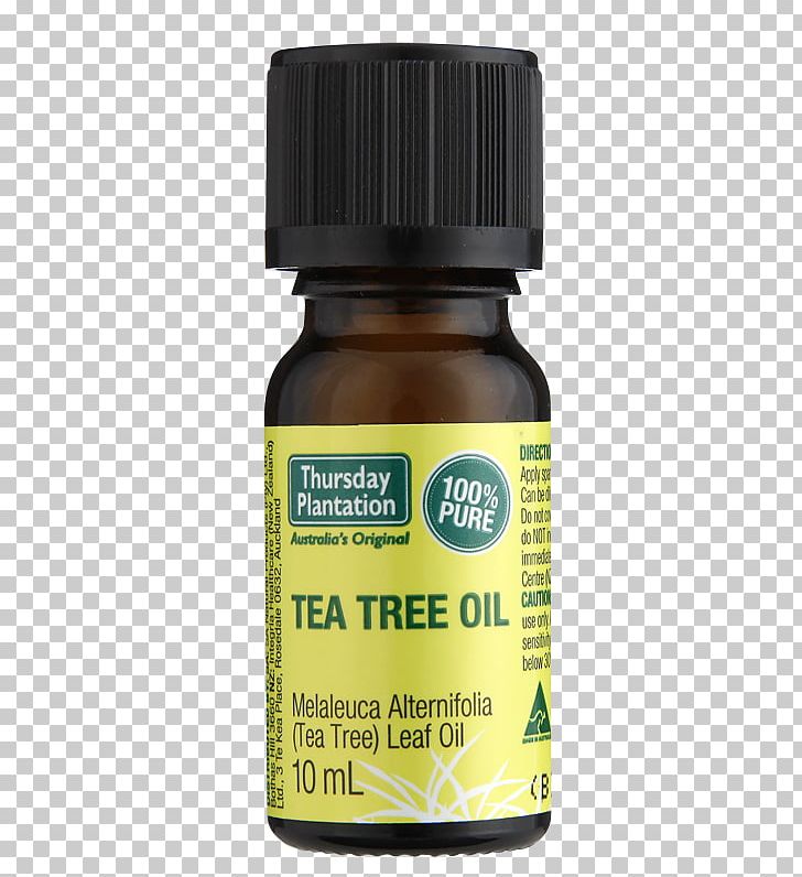 Tea Tree Oil Narrow-leaved Paperbark Cajeput Oil PNG, Clipart, Acne, Cajeput Oil, Essential Oil, Liquid, Melaleuca Free PNG Download