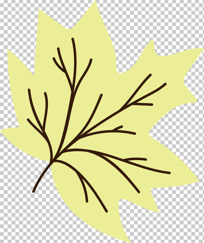 Maple Leaf PNG, Clipart, Biology, Flower, Fruit, Leaf, Line Free PNG Download