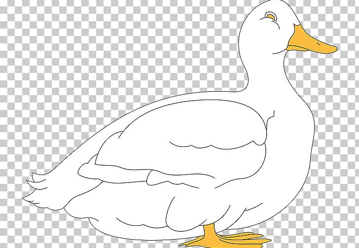 Duck Goose Cygnini Chicken Bird PNG, Clipart, Animal, Animal Figure, Animals, Artwork, Beak Free PNG Download