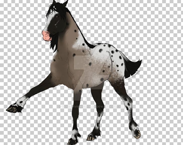 Mustang Stallion Foal Mare Colt PNG, Clipart, Animal Figure, Bridle, Colt, Colts Manufacturing Company, Florida Kraze Krush Soccer Club Free PNG Download
