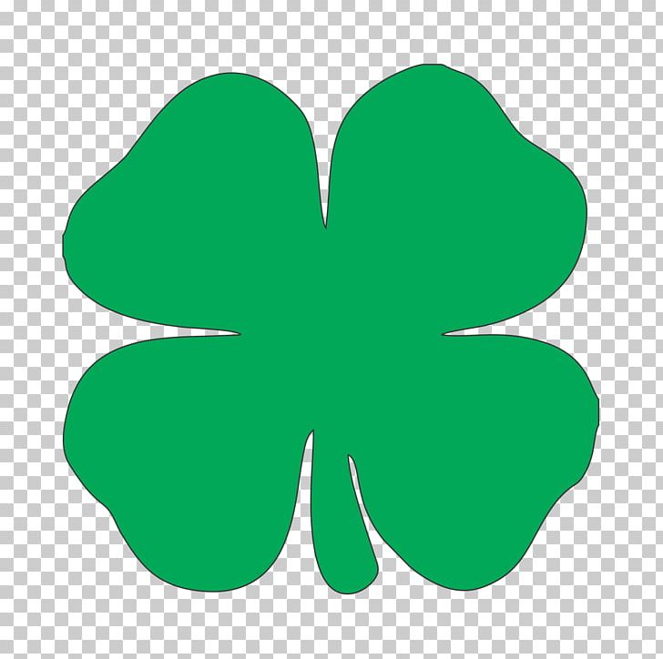 Four-leaf Clover Sticker Luck PNG, Clipart, Clover, Decal, Drawing, Flowers, Fourleaf Clover Free PNG Download