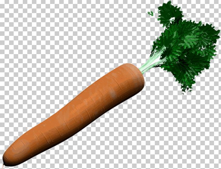 Carrot Vegetable Knackwurst PNG, Clipart, Bockwurst, Carrot, Daucus Carota, Drawing, Food Free PNG Download